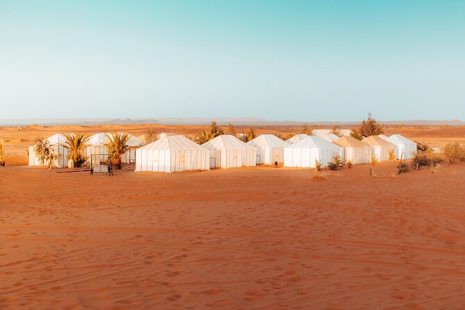 2 Days Desert Private Luxury Couple's Retreat Camel Trek + Quad - Service, organization, and the private format