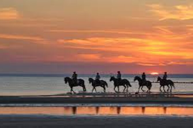 3-Hour Swim with Horses and Romantic Dinner from Hurghada hotels - What the $18.01 price really buys