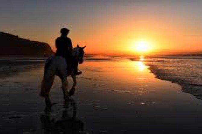 3-Hour Swim with Horses and Romantic Dinner from Hurghada hotels - Crossing the desert on horseback