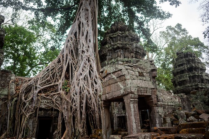 6-hour Angkor Sunrise & Private Tour (Solo, Couple & Family ) - Ta Nie and Preah Palilay add breathing room