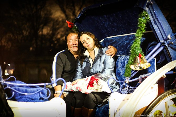 60 min surprise proposal carriage ride - How private is the experience?