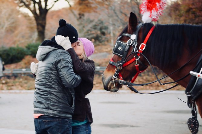 60 min surprise proposal carriage ride - Who should book this Central Park proposal?