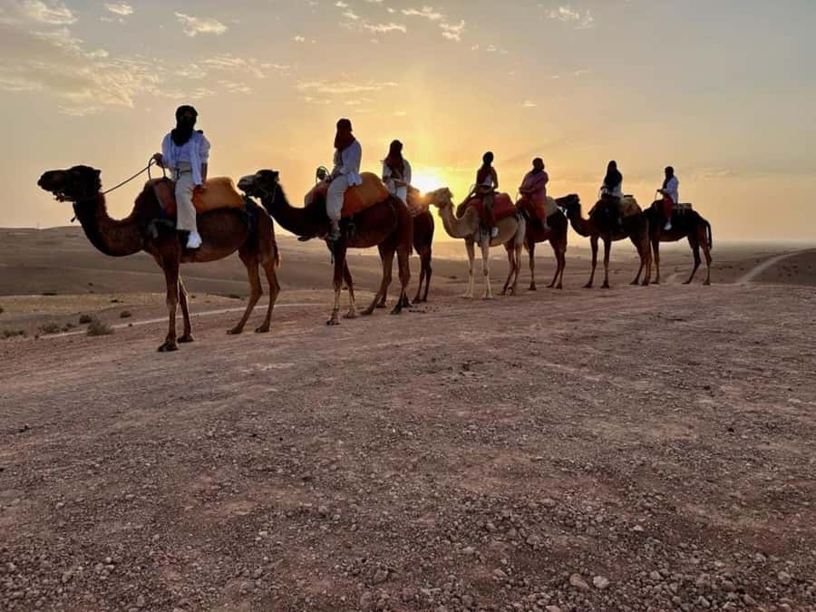 Agafay tour Quade Bike, Sunset and Romantic Dinner Show - What makes this Agafay evening worth considering