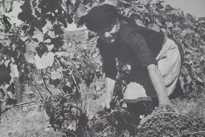 Algarve Romantic Vineyard Picnic in Carvoeiro - Pickup times across the Algarve