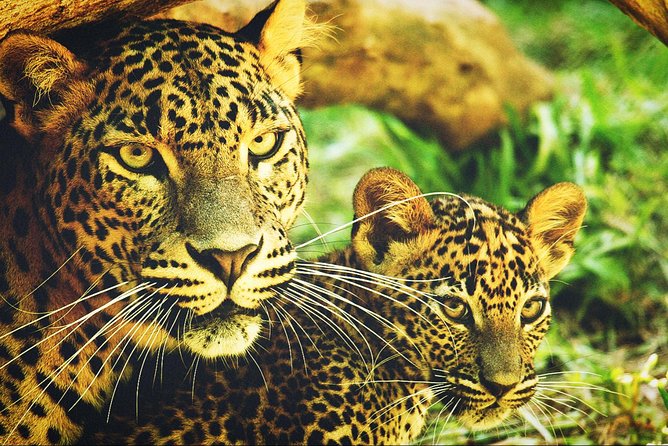 All in one Sri lanka 7nights 8 days for couple price - Bentota changes the mood again