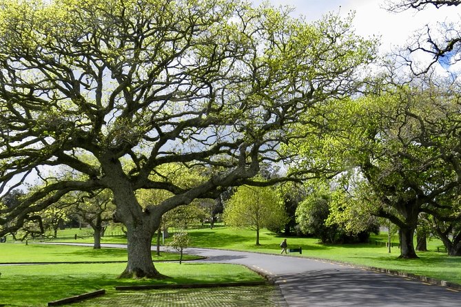Auckland City Private Tour for Couples. Be chauffeur driven with added extras. - Bastion Point adds context beyond the views