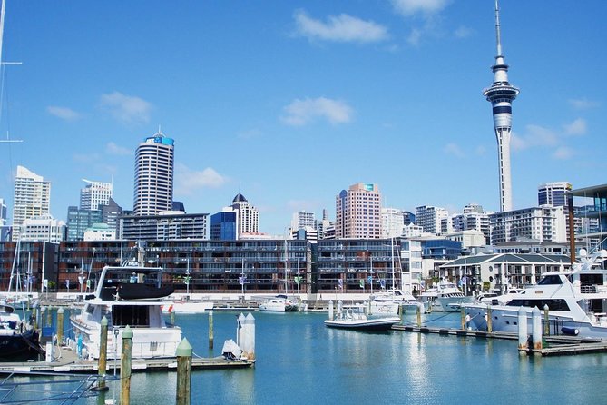 Auckland City Private Tour for Couples. Be chauffeur driven with added extras. - Mission Bay and Parnell show Auckland’s gentler side