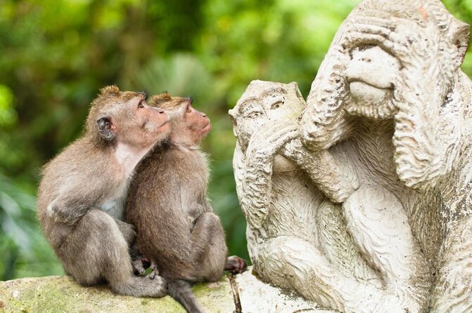 Bali romantic floating breakfast - jungle swing - monkey forest - Ubud art shop. - Five things to know before you book
