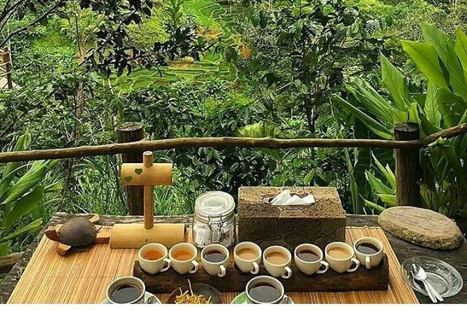 Bali romantic floating breakfast - jungle swing - monkey forest - Ubud art shop. - Sacred Monkey Forest Sanctuary in Ubud