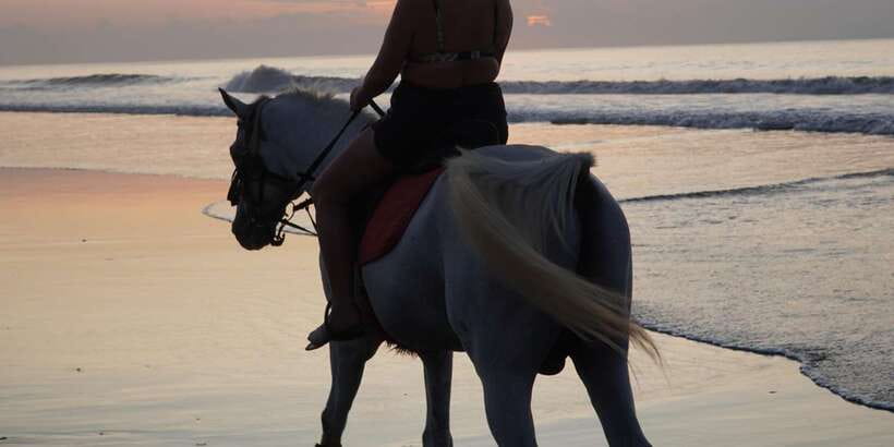 Bali: Romantic Seafood Dinner Jimbaran Beach Include Sunset - Package A or Package B: choosing the right seafood meal