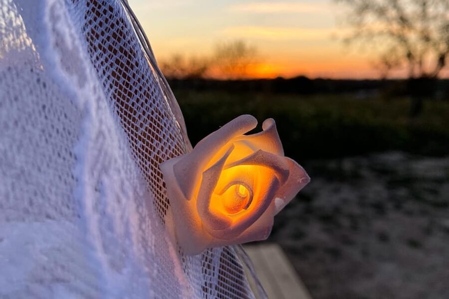 Carvoeiro, Portimão, Lagos: Algarve Romantic Vineyard Picnic - Key points to know before booking
