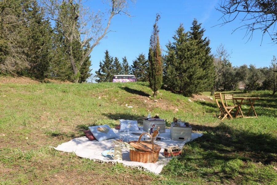 Carvoeiro, Portimão, Lagos: Algarve Romantic Vineyard Picnic - The private format and the personal touch