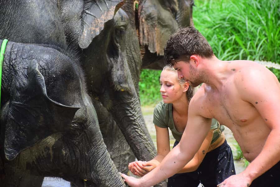 Chiang Mai: Private Elephant Care Experience for Couples - A calm morning ride from Chiang Mai