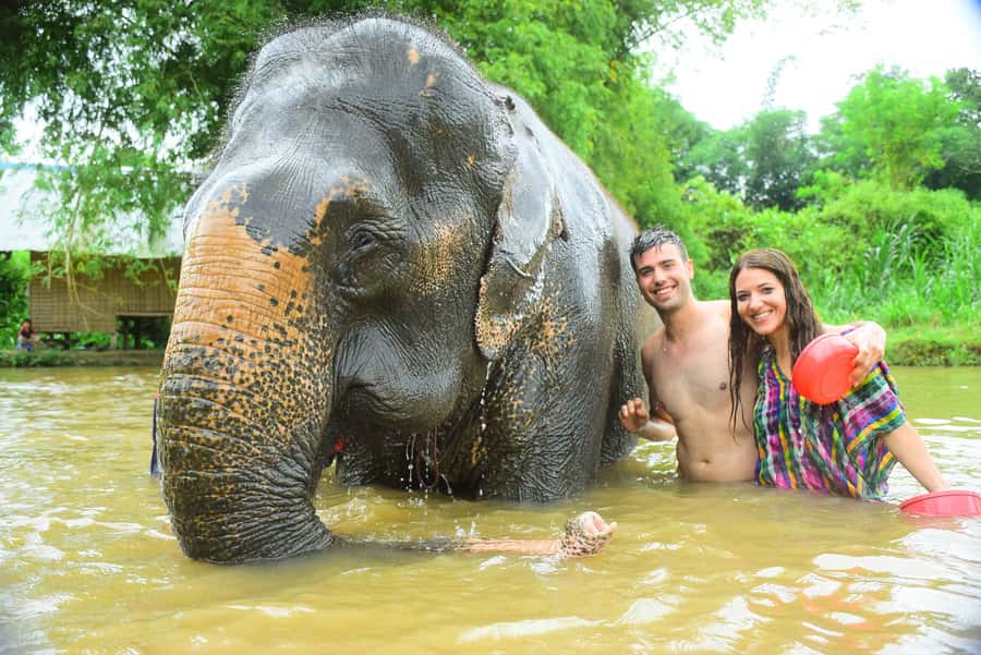 Chiang Mai: Private Elephant Care Experience for Couples - Feeding fruit and sugar cane, one elephant at a time