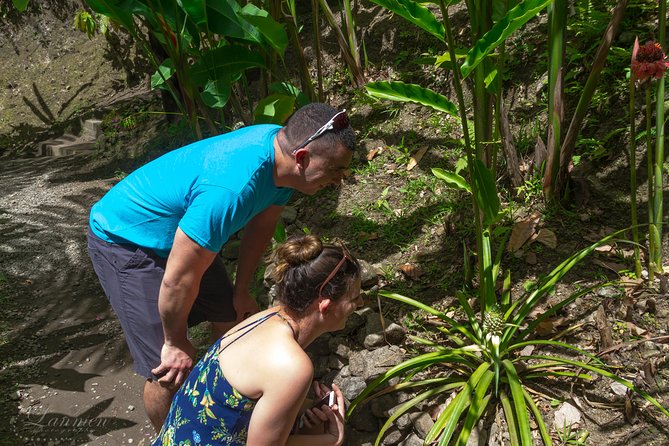 Couples Private St. Lucia Highlights Tour - Eudovic’s Art Studio and Anse La Raye