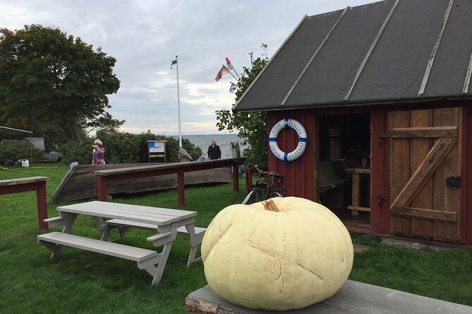 Day Trip to Land of Bays, the Romantic North-Coast from Tallinn - From Tallinn to Joelahtme’s ancient stones
