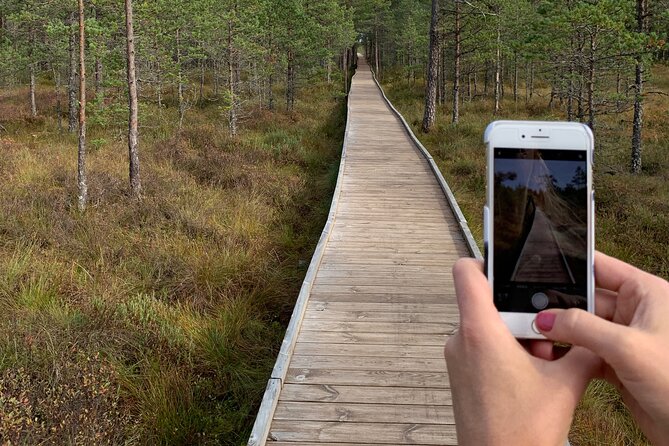 Day Trip to Land of Bays, the Romantic North-Coast from Tallinn - Walking the Viru Bog Trail