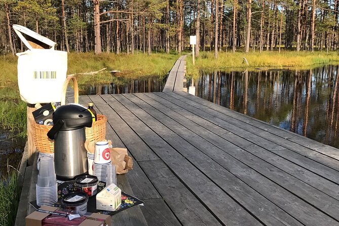 Day Trip to Land of Bays, the Romantic North-Coast from Tallinn - Driving through Lahemaa National Park