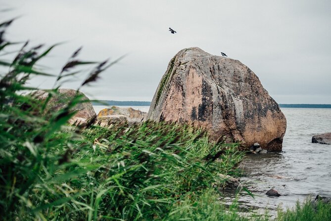 Day Trip to Land of Bays, the Romantic North-Coast from Tallinn - Vihula Manor and the final countryside stop