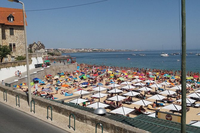 Fairy-Tale Romantic Sintra & Fishermen Village Cascais Highlights - What the private vehicle changes