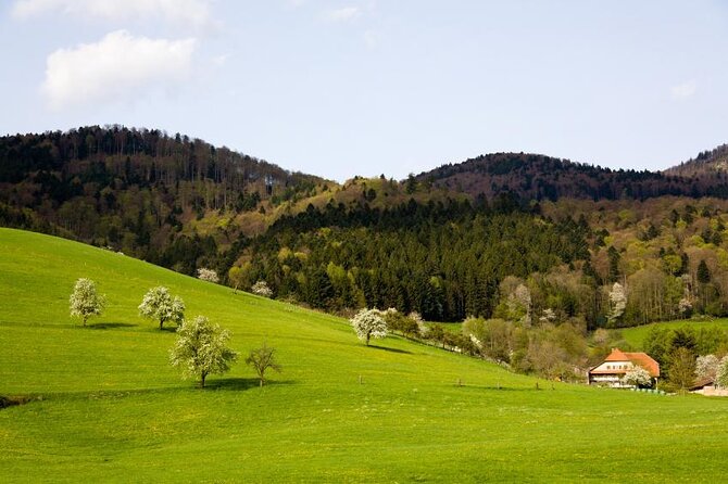 from Frankfurt - romantic Black Forest & brewery, private tour - What makes this day special