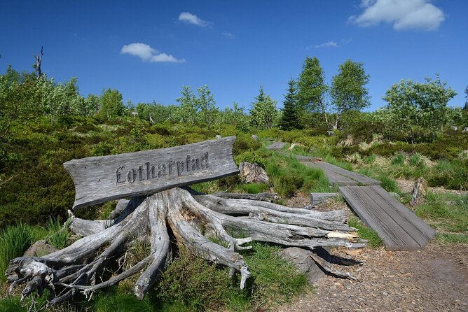 from Frankfurt - romantic Black Forest & brewery, private tour - Allerheiligen adds atmosphere without a long visit