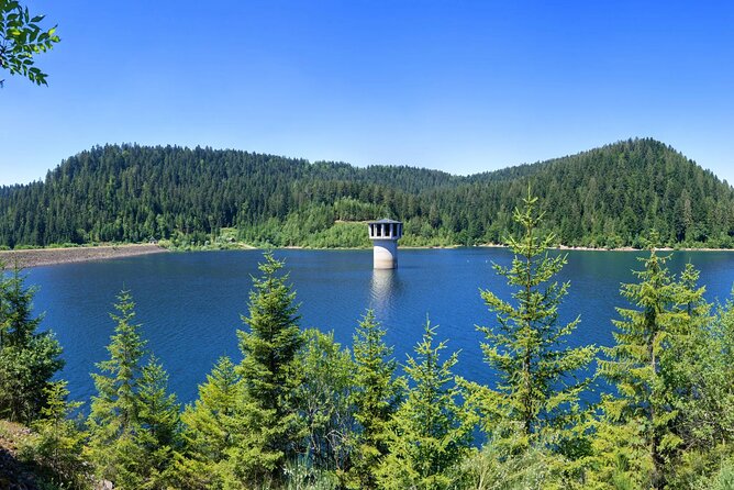 from Frankfurt - romantic Black Forest & brewery, private tour - Lotharpfad keeps the walking easy