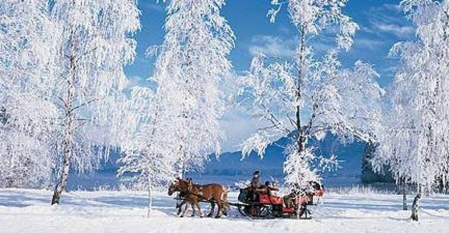 From Salzburg Romantic Carriage Ride through the Countryside - Key Points At A Glance