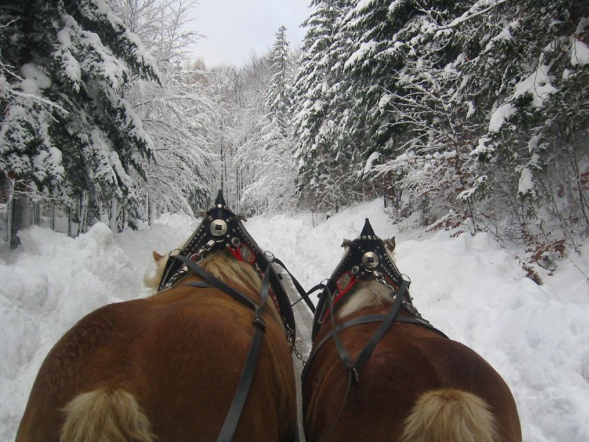 From Salzburg Romantic Carriage Ride through the Countryside - A Guide Makes The Difference