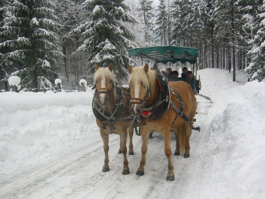 From Salzburg Romantic Carriage Ride through the Countryside - What The $883 Price Really Buys