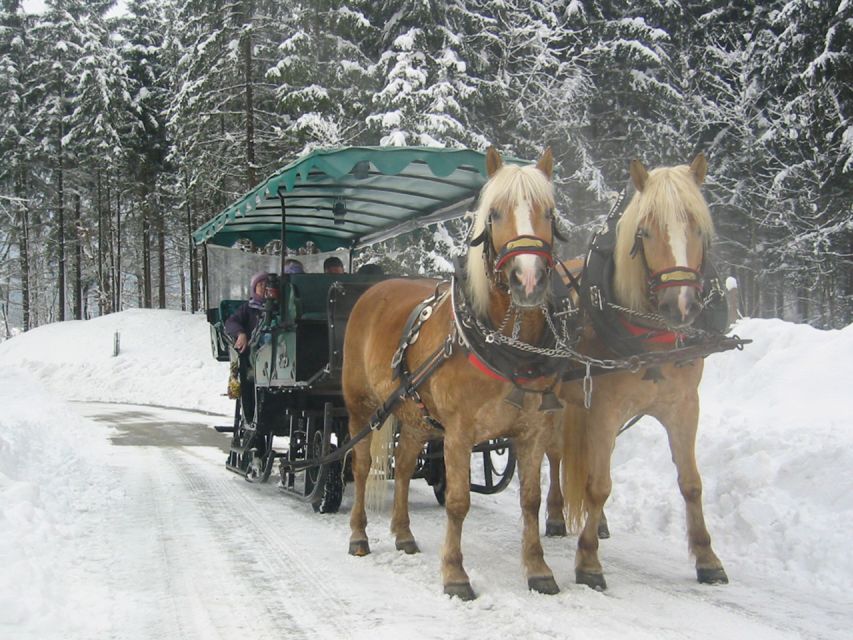 From Salzburg Romantic Carriage Ride through the Countryside - Winter Conditions And Practical Comfort