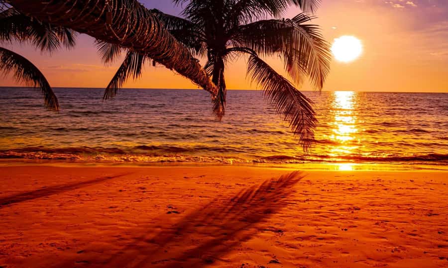 Grand Bay: Honeymoon/Lovers Sunset Tour with Romantic Dinner - How private is the private format?
