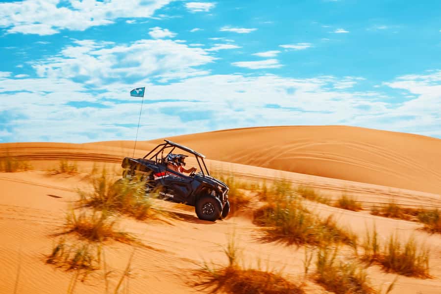 Greater Zion: Couples UTV Tour with Food - Dinosaur tracks and an unexpected piece of the past