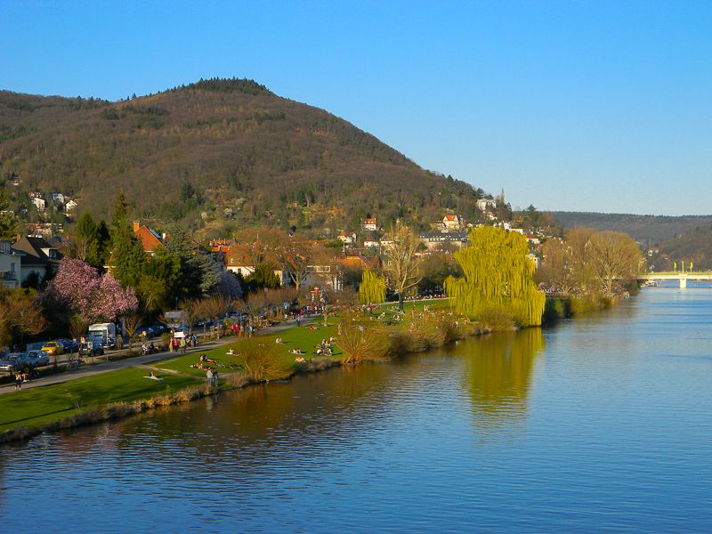 Heidelberg: City of Romance 2-Hour Walking Tour - How the guide shapes the experience