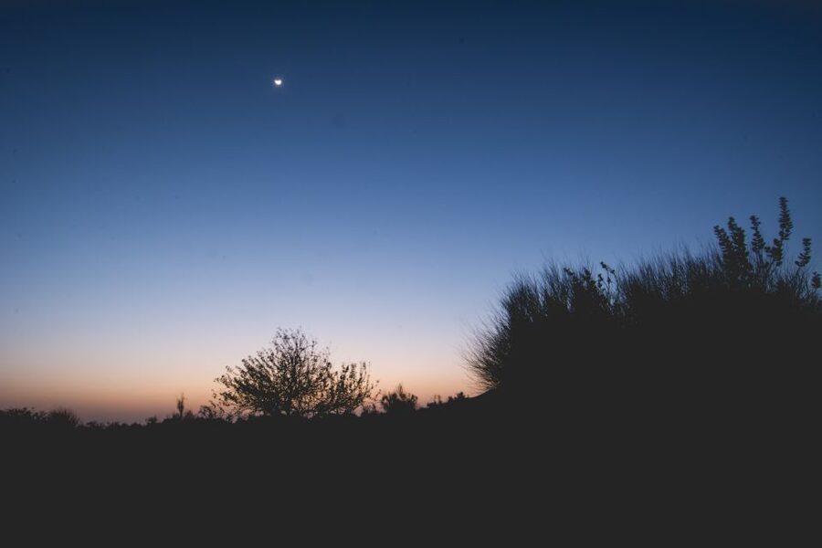 Jaisalmer: Romantic Night with Luxury Desert Camping - A camp evening with dinner and Rajasthani performance