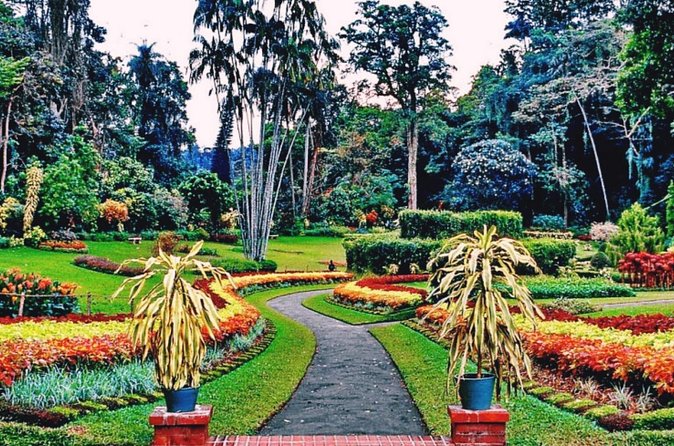 Kandy city tour for couple price - Kandy Lake Club: one hour of cultural dance