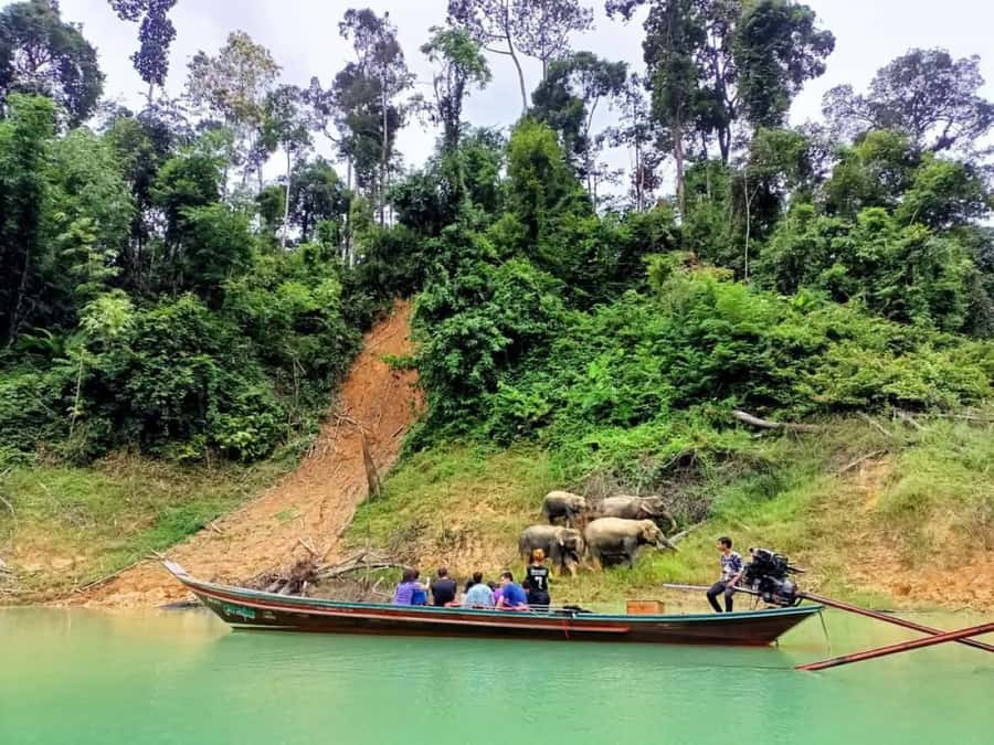 Khao Lak: Cheow Lan Lake Romantic Sunset Cruise with Drinks - Why Cheow Lan Lake makes a strong day trip from Khao Lak