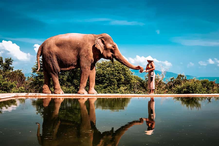 Koh Samui: Private Photoshoot for Couples & Families - Five things to know before booking