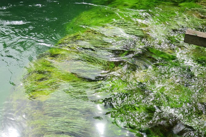 Krka waterfalls luxury tour for singles or couples - Primošten’s four hours by the sea