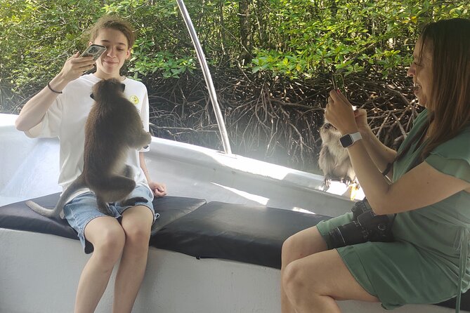 Langkawi Highlights Day Tour - ATV, Mangrove Cruise & Cable Car - What the private format adds