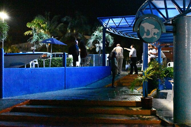 Live a Romantic Night Cruise Dinner at COLUMBUS (open bar included) - Choosing between steak, lobster, surf and turf, and vegetarian dinner