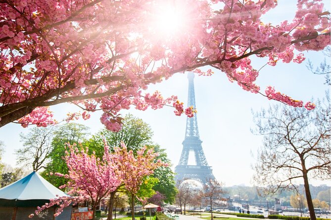 Live, Laugh, Love Along the Seine: Self-Guided Romantic Tour - Ladurée, Café de Flore, and the classic Left Bank