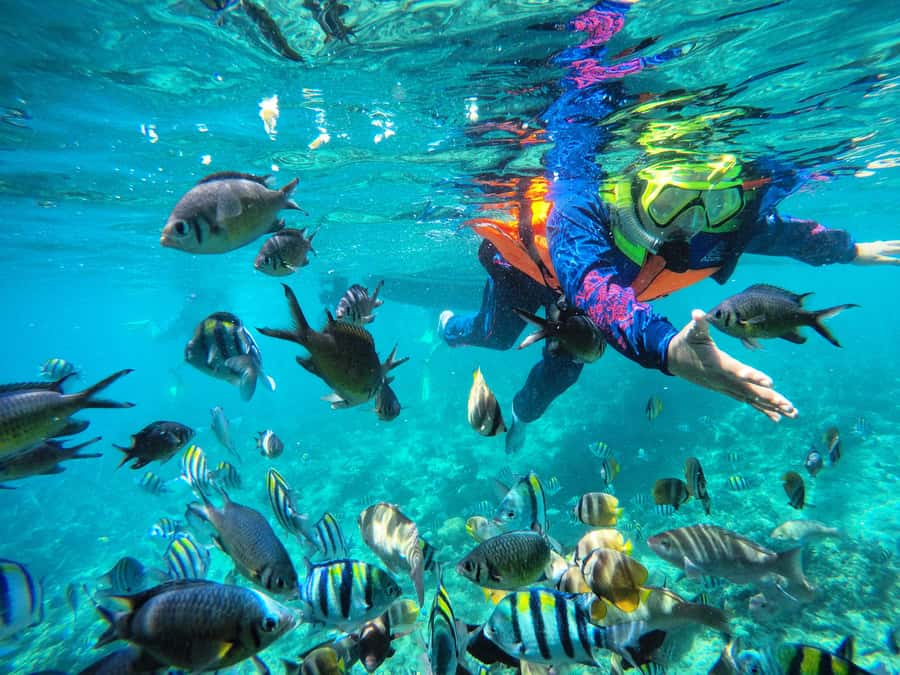 Lombok: Romantic Island Escape—Gili Nanggu, Sudak & Kedis - Starting from Lombok with a private pickup