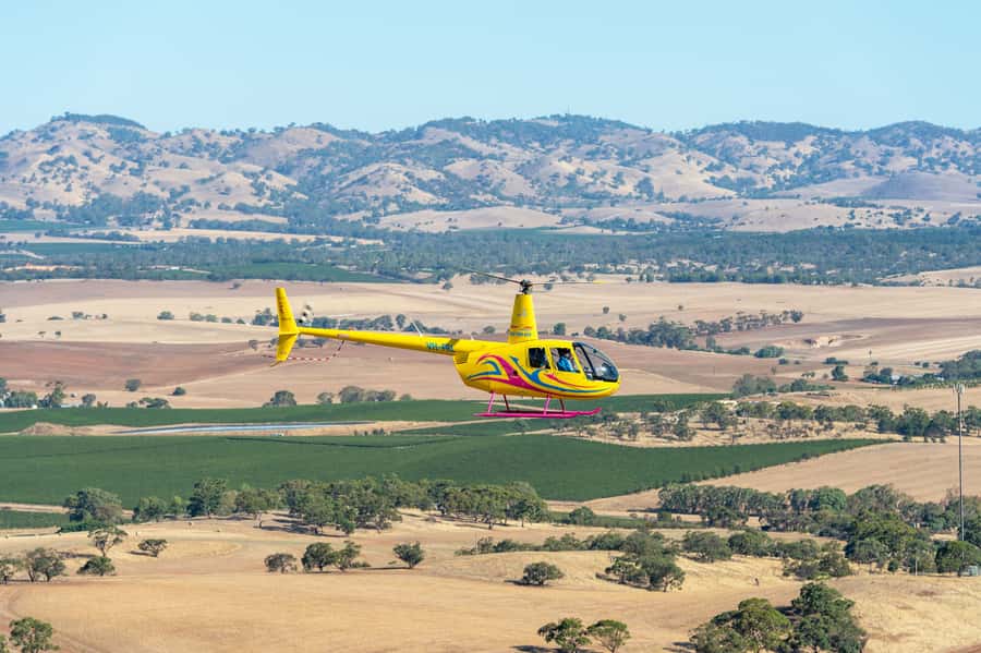 Lyndoch: Barossa Valley Helicopter Flight & Romantic Picnic - Key points at a glance