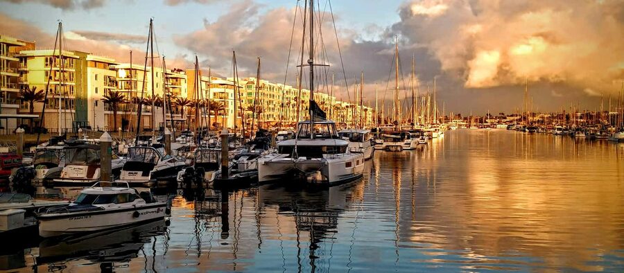 Marina Del Rey: Romantic Cruise, Dinner Charcuterie or Sushi - Sea lions, dolphins, and the wildlife factor