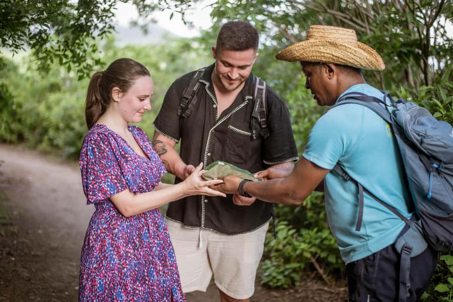 Mauritius: Exclusive Le Morne Sunset Hike & Aperitivo - Why the private format matters