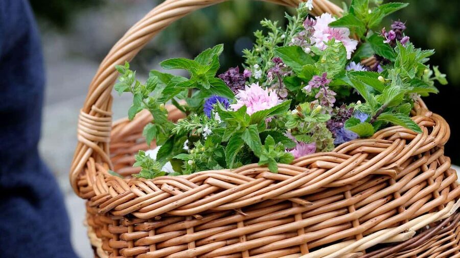 Meißen: Guided Walking Tour 'Romantic Evening Stroll' - Should you book the Romantic Evening Stroll?