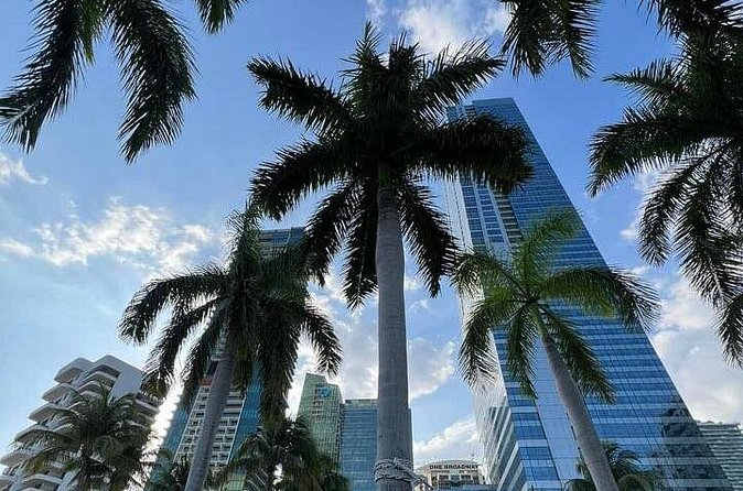 Miami Magic City Romantic Date Tour - Timing, weather, and practical planning