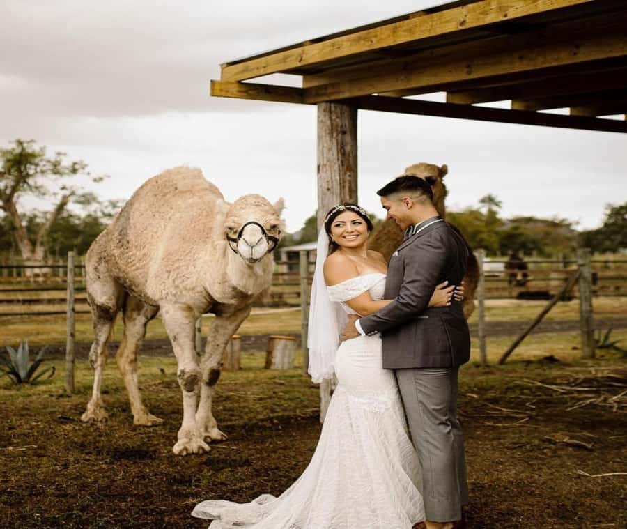 Moroccan Luxury Wedding Ritual: Full romantic experience - Planning advice for a smoother day