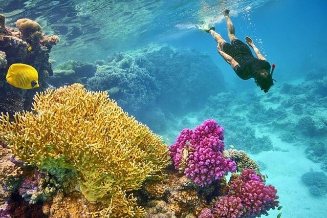 Orange Bay Island 2 Snorkeling Stops Water Sports Romantic Escape - A full Red Sea day from Hurghada